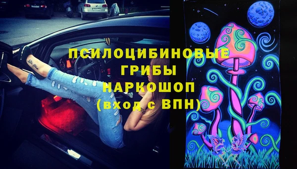 ECSTASY Инта