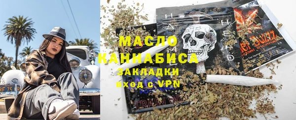 дмт Зеленодольск